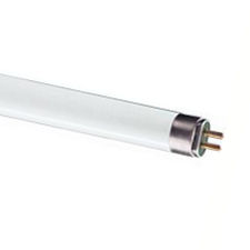 T5 / High Efficiency Lamps