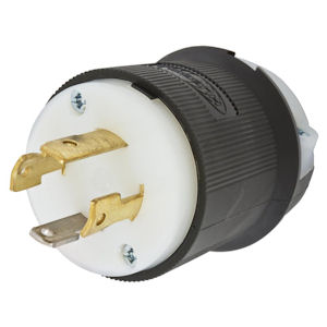 30 Amp, 125/250 Volts AC
